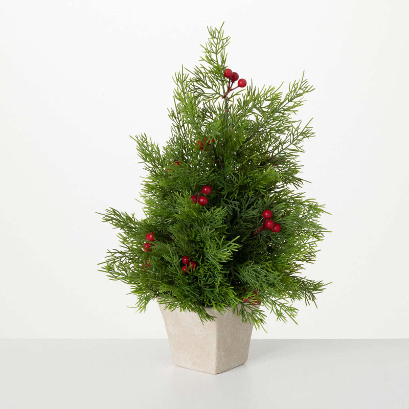 Potted Cedar & Red Berry Tree