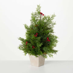 Potted Cedar & Red Berry Tree