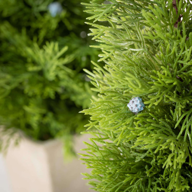 Cedar And Berry Tree Set Of 2