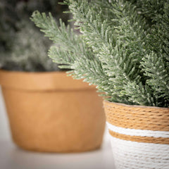 Evergreens In Basket Set Of 2