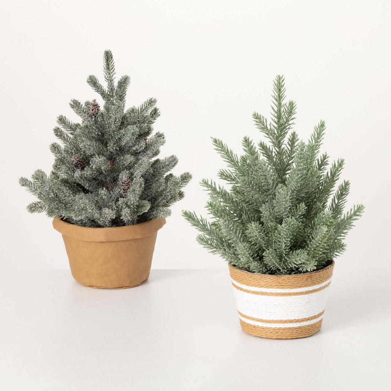 Evergreens In Basket Set Of 2