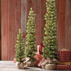 Needle Pine Pencil Christmas Tree