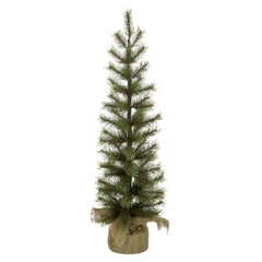 Needle Pine Pencil Tree