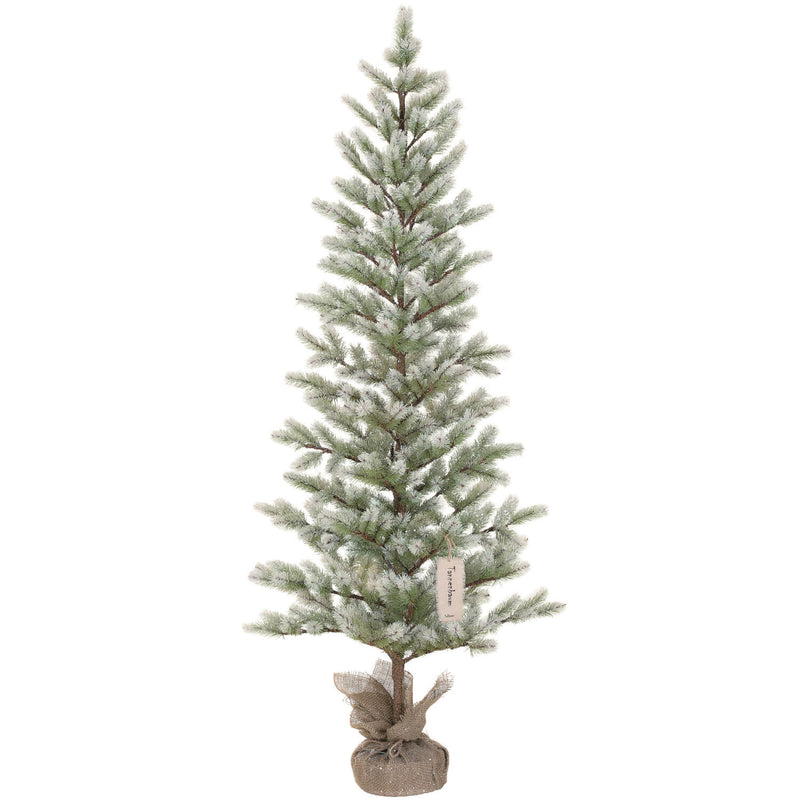 5'3"H Frosted Pine Tree
