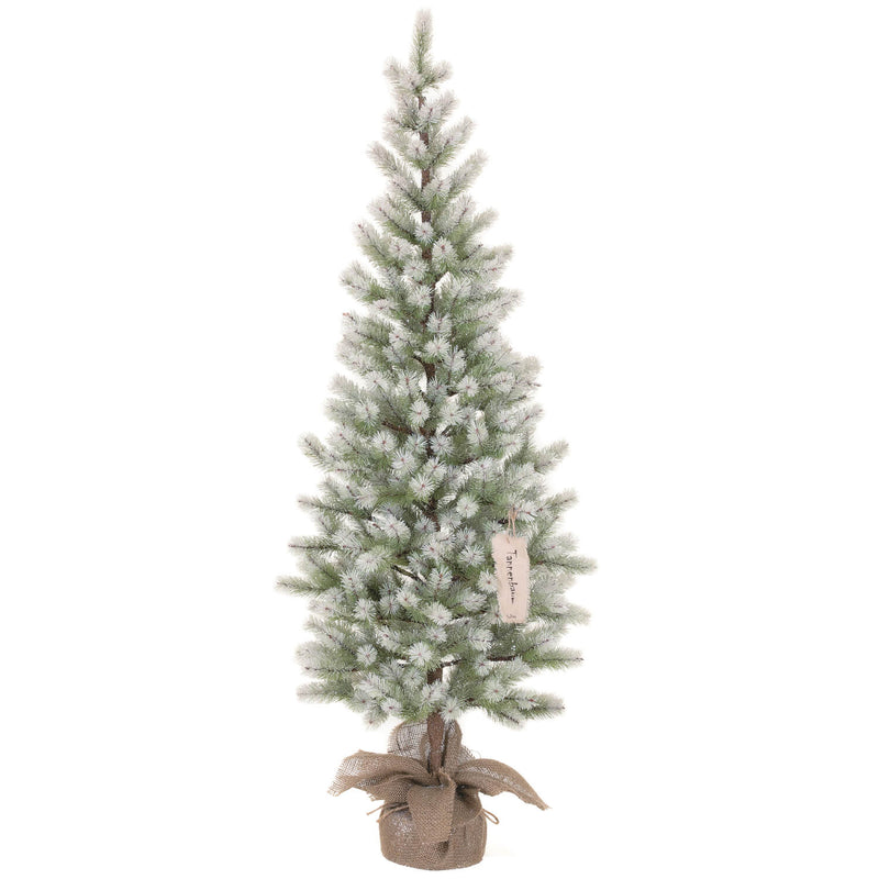 4'2"H Frosted Pine Tree