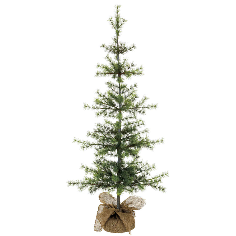 4'H Pine Tree