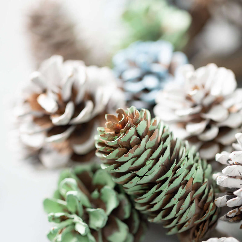 20" Flocked Pinecone Wreath