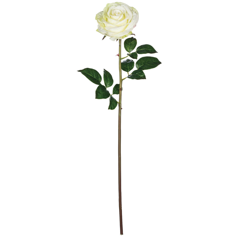 Open Rose Stem